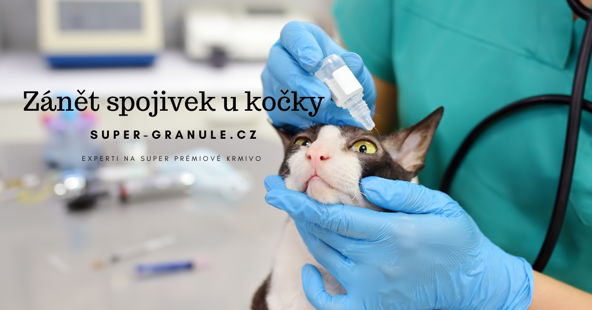 zanet-spojivek-u-kocky (3)